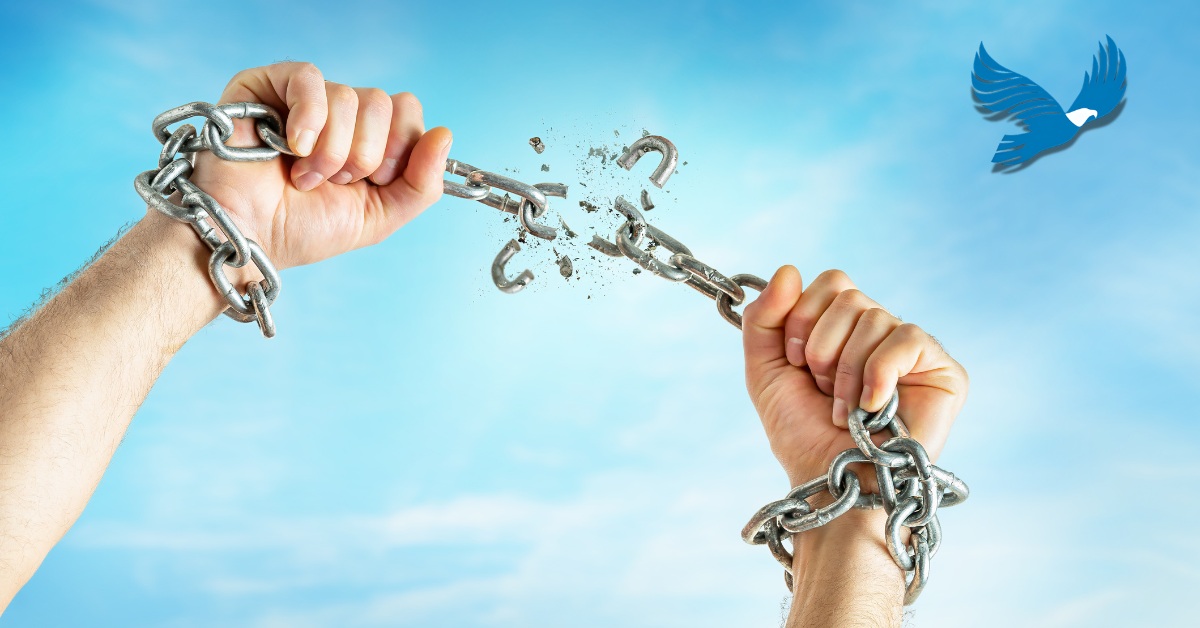 Hypnose + bilan de compétences Eagle START